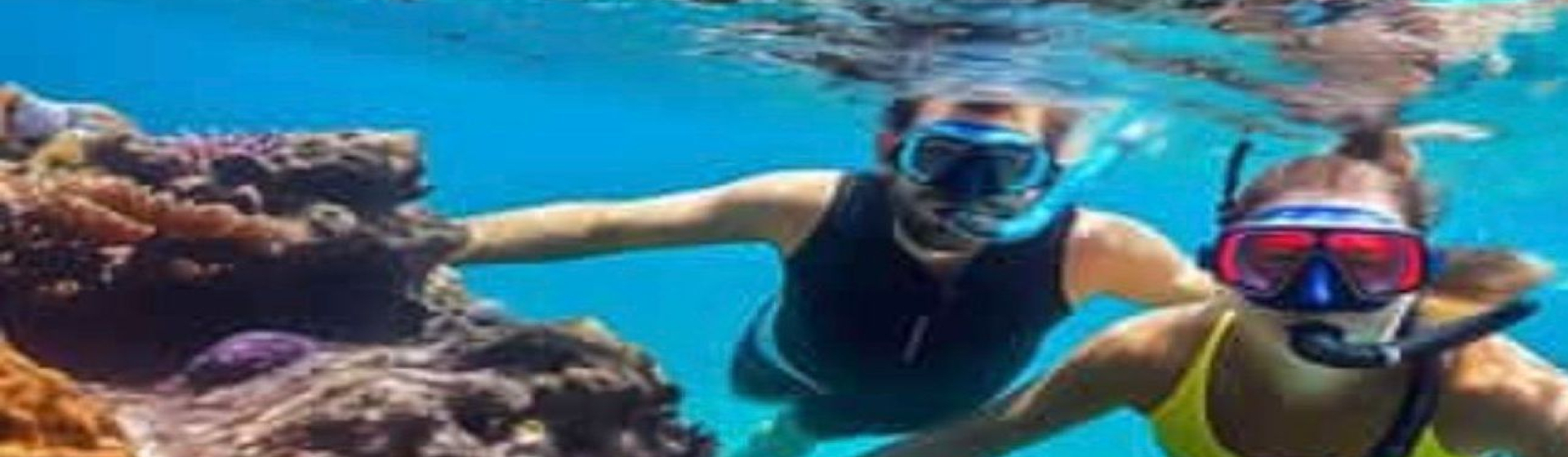 WhatsApp_Image_2026-02-24_at_10_52_48_1_